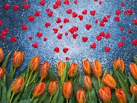 Czerwone, Pomarańczowe, Tulipany, Serduszka