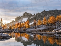 Kamienie, Jezioro Snow Lake, Stan Waszyngton, Góry Kaskadowe, Stany Zjednoczone, Alpine Lakes Wilderness, Drzewa, Jesień, Rezerwat przyrody, Odbicie