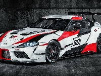 Toyota GR Supra, Samochód rajdowy