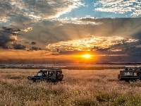 Safari, Samochody, Pole, Afryka, Zachód słońca