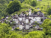 Corippo, Zieleń, Locarno, Stok, Szwajcaria, Drzewa, Domy, Wzgórza, Roślinność, Kanton Tessin