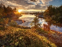 Jezioro Ładoga, Krzewy, Rosja, Drzewa, Jesień, Zachód słońca, Karelia