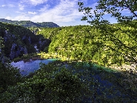 Drzewa, Park Narodowy Jezior Plitwickich, Chorwacja, Jeziora, Roślinność