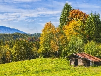 Drewniana, Góry, Szałas, Jesień, Drzewa, Chata