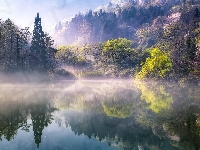 Jezioro, Drzewa, Korea Południowa, Kolorowe, Góry, Odbicie