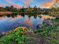 Stanley Park, Kanada, Chmury, Jezioro, Kwiaty, Park miejski, Drzewa, Vancouver