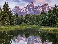 Rzeka Snake River, Stany Zjednoczone, Odbicie, Góry Teton Range, Trawy, Park Narodowy Grand Teton, Drzewa, Stan Wyoming