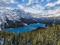 Góry Canadian Rockies, Drzewa, Kanada, Lasy, Park Narodowy Banff, Jezioro Peyto Lake, Zima