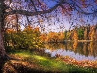 Jesień, Las, Jezioro, Drzewa