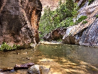 Rzeka Virgin River, Roślinność, Stany Zjednoczone, Skały, Park Narodowy Zion, Kanion Zion Narrows, Stan Utah