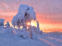 Zima, Kandałaksza, Rosja, Drzewa, Wschód słońca, Śnieg, Obwód murmański