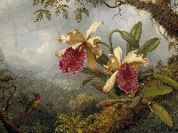 Martin Johnson Heade, Ptak, Malarstwo, Obraz, Storczyki