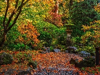 Drzewa, Stany Zjednoczone, Portland, Krzewy, Portland Japanese Garden, Ogród japoński, Jesień, Oregon
