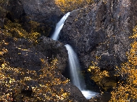 Drzewa, Stany Zjednoczone, Skały, Wodospad Nellie Creek, Kolorado