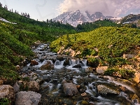 Rzeka, Szczyt Mount Rainier, Stany Zjednoczone, Góry, Park Narodowy Mount Rainier, Kamienie, Stan Waszyngton