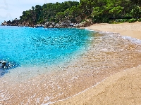 Costa Brava, Morze, Katalonia, Wakacje, Hiszpania, Drzewa, Kamienie, Lloret de Mar, Plaża Cala Treumal, Prowincja Girona