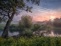 Poranek, Rosja, Rzeka Istra, Wschód słońca, Mgła, Wiosna, Drzewa, Obwód moskiewski