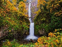 Most, Jesień, Roślinność, Hrabstwo Multnomah, Stany Zjednoczone, Drzewa, Wodospad Multnomah Falls, Skały, Oregon