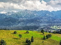 Dolina, Tatry, Polska, Góry, Drzewa, Zakopane