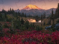 Stratowulkan Mount Rainier, Jezioro Tipsoo, Stany Zjednoczone, Drzewa, Park Narodowy Mount Rainier, Góry, Stan Waszyngton