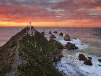 Droga, Nowa Zelandia, Skały, Latarnia morska Nugget Point, Ocean Spokojny, Wzgórze, Morze, Region Otago