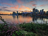 Vancouver, Stadion BC Place Stadium, Roślinność, False Creek, Kanada, Akwen, Wieżowce