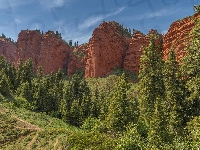 Drzewa, Skały, Kirgistan, Kanion Konorchek Canyons, Góry, Ścieżki