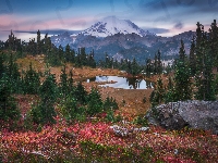 Góry, Jezioro Tipsoo, Stany Zjednoczone, Drzewa, Park Narodowy Mount Rainier, Stratowulkan Mount Rainier, Stan Waszyngton