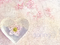 Kwiaty, Spring, Serce, Różowe, Napis