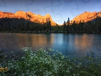 Canadian Rockies, Kanada, Roślinność, Rzeka Bow, Drzewa, Góry, Las, Alberta