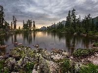 Góry, Rosja, Park przyrody Ergaki, Drzewa, Kamienie, Jezioro Lazurnoye, Świerki, Syberia