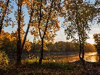 Słońcem, Lasy, Jezioro, Rozświetlone, Drzewa