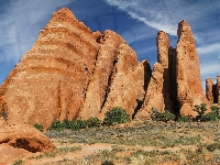 Drzewa, Stany Zjednoczone, Park Narodowy Arches, Krzewy, Konar, Skały, Suchy, Stan Utah