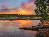 Konar, Jezioro, Drzewa, Zachód słońca, Suchy, Las