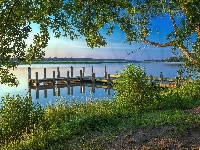 Drzewa, Jezioro, Pomost, Roślinność