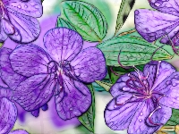 Fractalius, Fioletowe, Kwiaty, Grafika