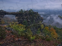 Skała, Czechy, Drzewa, Most skalny, Rośliny, Góry Połabskie, Brama Pravcicka, Park Narodowy Czeska Szwajcaria