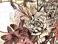Lilie, Kwiaty, Róże, Grafika 2D