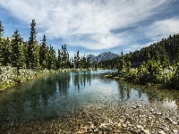 Kananaskis Country, Las, Kanada, Jezioro Mount Lorette Ponds, Góry Canadian Rockies, Prowincja Alberta