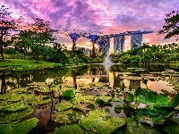 Hotel Marina Bay Sands, Singapur, Staw, Lilie wodne, Futurystyczny ogród Gardens by the Bay