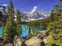 Jezioro Moraine, Góry, Kanada, Drzewa, Park Narodowy Banff, Las, Alberta