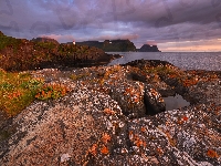 Roślinność, Latarnia, Norwegia, Skały, Jesień, Morze Północne, Wyspa Senja