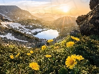 Skały, Jezioro, Kwiaty, Góry, Promienie słońca, Żółte