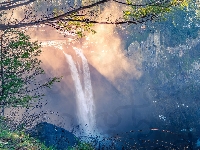 Hrabstwo King, Skały, Stany Zjednoczone, Wodospad Snoqualmie Falls, Drzewa, Stan Waszyngton