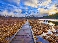 Pomost, Pemberton, Kanada, Traw, Jezioro One Mile Lake, Kępki, Kolumbia Brytyjska