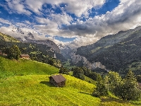 Las, Alpy Berneńskie, Chmury, Wengen, Szwajcaria, Domy, Góry, Dolina Lauterbrunnental, Kanton Berno