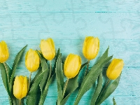 Tulipany, Deski, Kwiaty, Żółte, Niebieskie