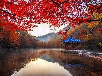 Drzewa, Jesień, Korea Południowa, Altana, Park Narodowy Naejangsan, Staw, Jeongeup