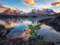 Jezioro Pehoe, Góry Cordillera del Paine, Chile, Skały, Park Narodowy Torres del Paine, Drzewo, Patagonia