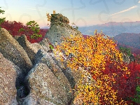 Karpaty, Jesień, Brzozy, Skały Dobosza, Ukraina, Góry, Drzewa